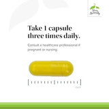 Terry Naturally Berberine - 60 Capsules | Joint Health Support