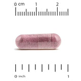 Super Nutrition Cranberry Phytosome Anthocran® - 120 mg, 60 Veggie Capsules | Urinary & Antioxidant Support