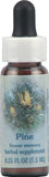 Pine Healing Herb Flower Essence Supplement Dropper - 0.25 Fluid Ounce Forgiveness Aid