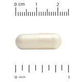 California Gold Nutrition Creatine Monohydrate - 750mg Veggie Capsules - 240 Count
