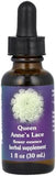 Flower Essence Services Queen Anne's Lace Herbal Supplement - 1 oz Dropper