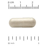 California Gold Nutrition Brain Health with A-GPC - 60 Veggie Capsules