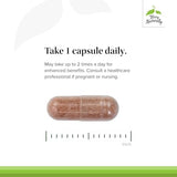 Clinical OPC - OPC Antioxidant Supplement for Cellular Protection, 60 Caps
