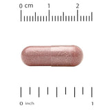 California Gold Nutrition CranMax LactoBif Probiotics 25 Billion CFU - 30 Veggie Capsules