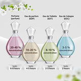 Lalique Provocateur Signature Perfume - 100ml