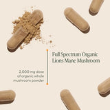 Organic Mushroom Nutrition Lion's Mane - 90 Vegetarian Capsules