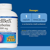 WellBetX Berberine 500mg - 120 Capsules for Blood Sugar Support