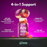 Essential Elements Apple Cider Vinegar Gummies from The Mother - Naturally-Sourced, Vegan ACV with Folic Acid and Vitamin B6 & B12 60 Count