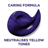 L'Oréal Elvive Colour Protect Purple Shampoo & Conditioner