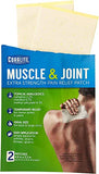 Great Lakes Wholesale 2-Count Heat Pain Patches - Targeted Thermal Therapy for Muscle Relief