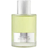 Tom Ford Beau de Jour EDP Spray - Men's Aromatic Fragrance