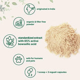 Organic Boswellia Serrata Extract Powder for Joint Support