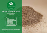 Artemisia Annua (One Year Beifoot) Finely Cut - Natural Herbal Supplement (250g)