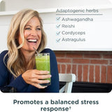 Ancient Nutrition Super Greens Powder, Organic Superfood Probiotics