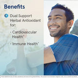 Jarrow Formulas Green Tea Extract 500mg for Antioxidant Support, 100 Veggie Caps