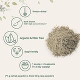 Organic Turkey Tail Mushroom Powder (50:1 Extract) - Immune Support (8oz)