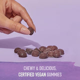 Garden of Life MyKind Organics Elderberry Immune Support, 120 Vegan Gummies