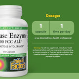 Natural Factors Lactase Enzyme 9000 FCC ALU 60 Capsules - Dairy Digestive Support for Lactose Intolerance