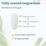 Igennus Triple Magnesium Complex: Glycinate, Taurate & Citrate for Sleep & Stress