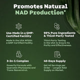 Reus Research NAD+ Supplement - Premium Cellular Energy & Anti-Aging Support