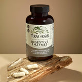 TERRA ORIGIN - Digestive Enzymes with Probiotics | Supports Healthy Digestion | Bromelain, Lactase, Amylase, Lipase | Made in The USA, Gluten-Free | 60 Servings