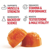 Force Factor Test X180 Gummies Testosterone Booster for Men with Tongkat Ali, Horny Goat Weed, Tribulus Terrestris, Fenugreek, & Black Maca, Supplement Men, Berry Punch, 60 Gummies, 1-Pack