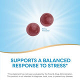 Nature’s Way Ashwagandha Gummies for Stress Relief - Adaptogenic, Berry Flavored, 125mg, 90 Count
