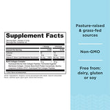 Ancient Nutrition Multi Collagen Protein Powder by Dr. Axe (Chocolate, 525g)