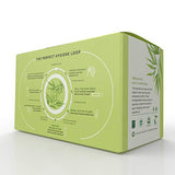 Pee Safe Organic Cotton Sanitary Pads - Biodegradable Quarterly Pack of 32 (14 Regular + 18 Overnight)