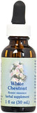 Flower Essence Services White Chestnut Herbal Supplement - 1 Ounce Dropper