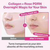 numbuzin No.2 Rose PDRN Overnight Collagen Face Mask – Firming & Hydrating Korean Mask for Elasticity & Minimized Pores (Pack of 4)