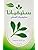 Steviana Sweetener 100 Sachets - Natural Zero-Calorie Stevia Sweetener Pack