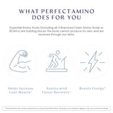 BodyHealth PerfectAmino Tablets: All 8 Essential Amino Acids + BCAAs for Muscle, Recovery & Strength