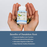 Eclectic Institute Dandelion Root Capsules 90 Count - Liver & Digestive Support