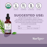 MaryRuth's Kidney Support Drops - Liquid Herbal Supplement for Renal & Urinary Tract Health - 1 Fl Oz