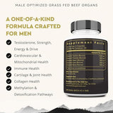 Ancestral Supplements Mofo: Grass Fed Beef Organ Supplement for Men's Health & Energy (180 Caps)