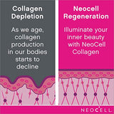 Neocell Super Collagen Powder Type 1 & 3 for Youthful Skin & Joints, 198g