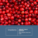 Eclectic Institute Cranberry 300mg Capsules for Urinary Tract Health - 120 Count