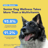 NAD+ Precursor & Senior Dog Supplement - 90 Soft Chews with NMN Alternative for Longevity, Anti-Aging & Energy - Nicotinamide Riboside, Resveratrol, Quercetin