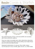 Abbott Collection Coral Flower Decor (Small) - Elegant Home Accents