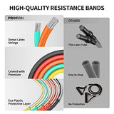 PROIRON 14-Piece Anti-Snap Resistance Bands Set with Handles & Accessories