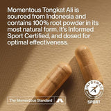 Momentous Tongkat Ali for Men and Women - Natural Performance Longjack Tongkat Ali Supplement for Health & Wellness - Hormone, Energy & Mood Support - Root Extract Powder, 30 Servings