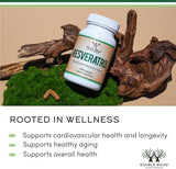 Resveratrol Supplement 500mg Per Serving, 120 Capsules (Resveratrol Polygonum Root Extract Providing 50% Trans Resveratrol) Healthy Aging Support by Double Wood