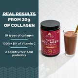Ancient Nutrition Multi Collagen Protein Powder by Dr. Axe (Chocolate, 525g)