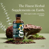 Gaia Herbs Bronchial Wellness Syrup for Immune & Lung Support, 5.4 fl oz