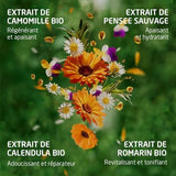 Weleda Skin Food Cleansing Balm (99g) - Nourishing & Deep Cleanse