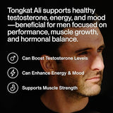 Momentous Tongkat Ali for Men and Women - Natural Performance Longjack Tongkat Ali Supplement for Health & Wellness - Hormone, Energy & Mood Support - Root Extract Powder, 30 Servings