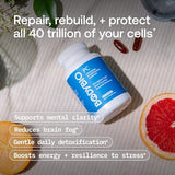 BodyBio PC Phosphatidylcholine + Phospholipids - Liposomal for Brain & Cell Health - 60 Softgels