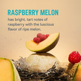 Liquid I.V. Sugar-Free Hydration Multiplier - Raspberry Melon | Electrolyte Powder Drink Mix | Non-GMO | 1 Pack