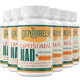 Liposomal NAD+ Supplement with Nicotinamide Riboside & Resveratrol - 800 mg NAD+ for DNA Repair, Brain Function & Healthy Aging - 360-Day Supply